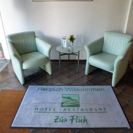 Hotel Zur Flueh Bad Säckingen Extérieur photo